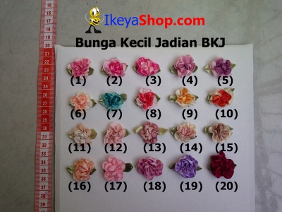 BKJ 1 20  large2